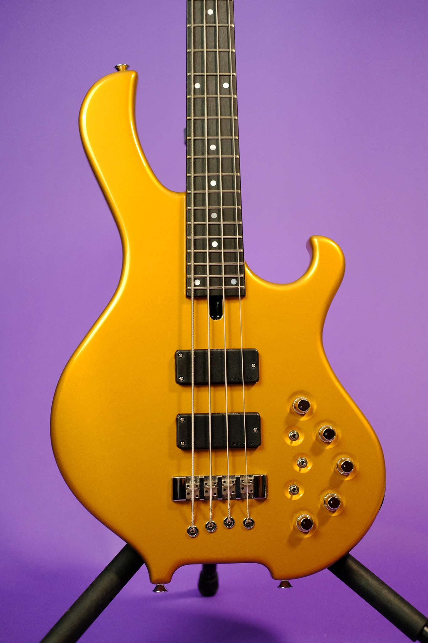 Maruszczyk Frog Pi 4a 2024 33" - Goldfinger