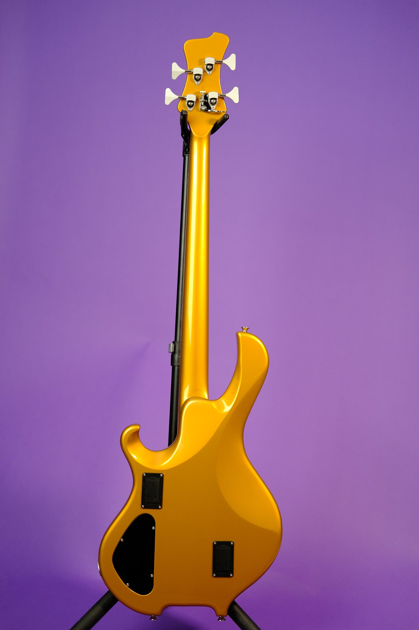 Maruszczyk Frog Pi 4a 2024 33" - Goldfinger