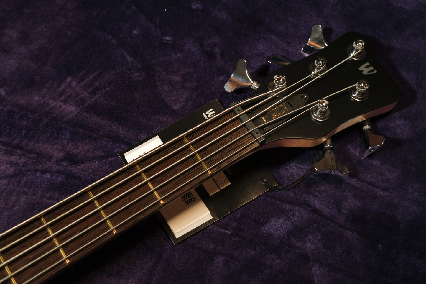 Warwick Streamer Stage 1 2023 - Natural Transparent Satin