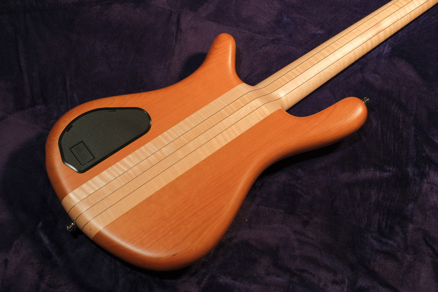 Warwick Streamer Stage 1 2023 - Natural Transparent Satin
