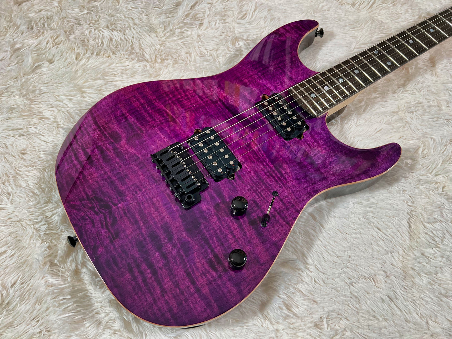 Xotic XS Core Bent Top - Trans Purple