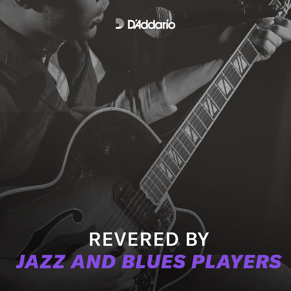 D'Addario ECG23 Chromes Flat Wound,Extra Light, 10-48